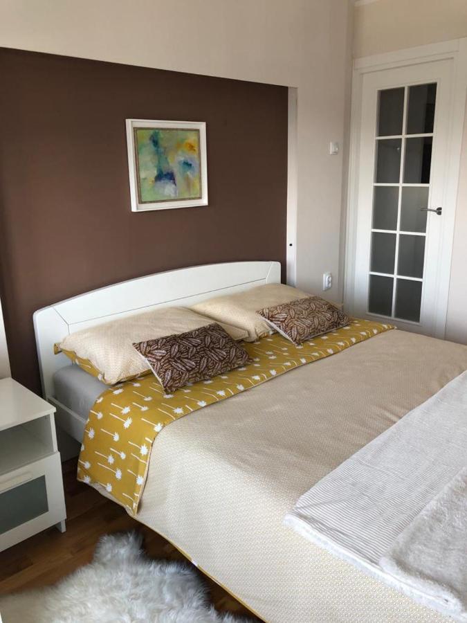 Apartment Arena Lux